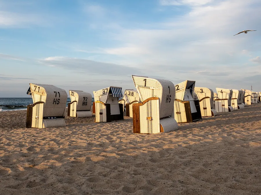 things to do in gold coast